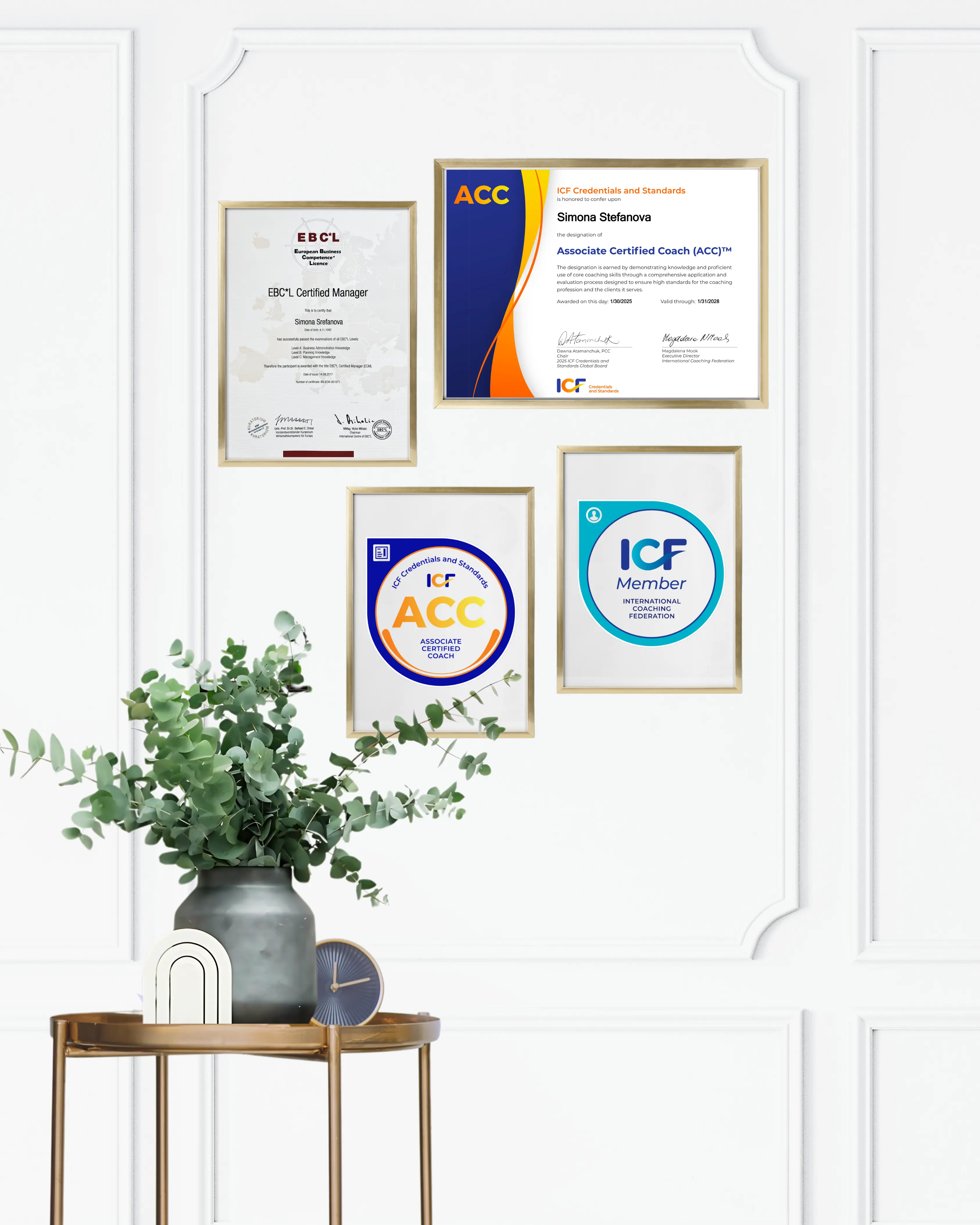 Certificates and Plant